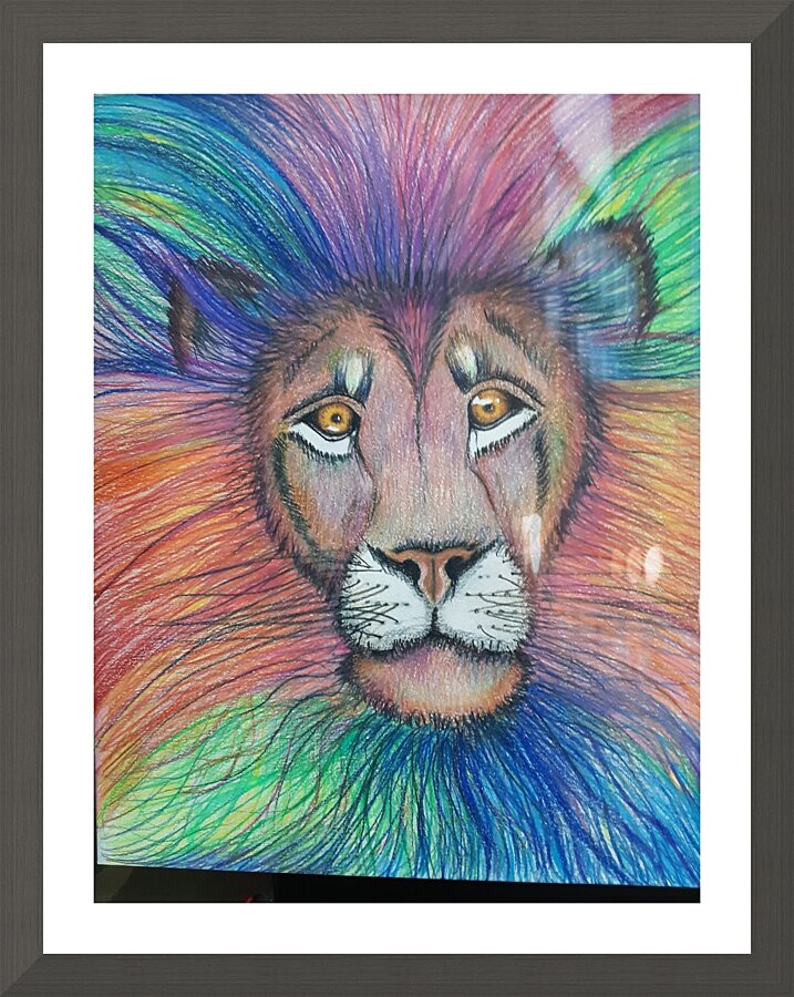 Lion of Judah  Picture Frame print