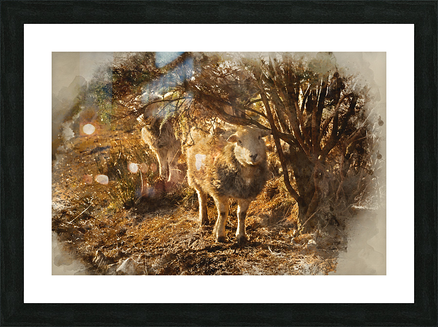  Fine Art print