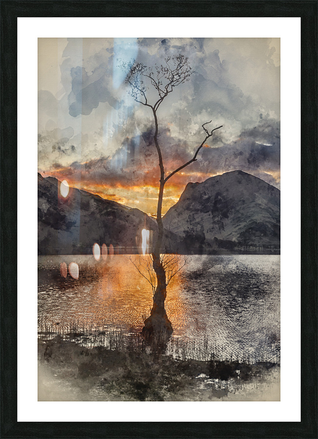  Fine Art print