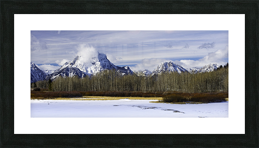 20211207  DSC9332 Edit 16x36 Picture Frame print