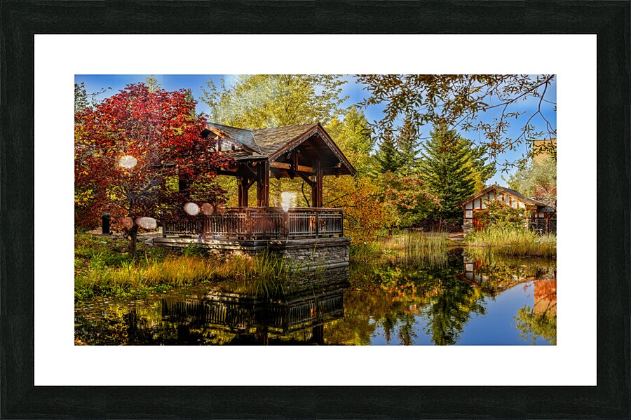 Autumn Beauty at Boffin Gardens Picture Frame print