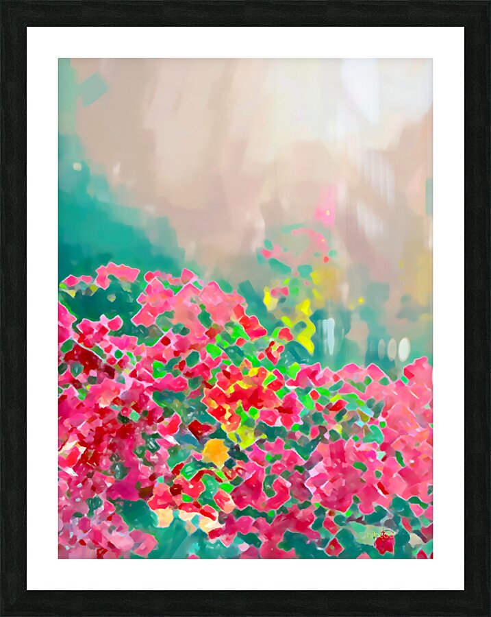 Backlight Bouganvilleas  Picture Frame print