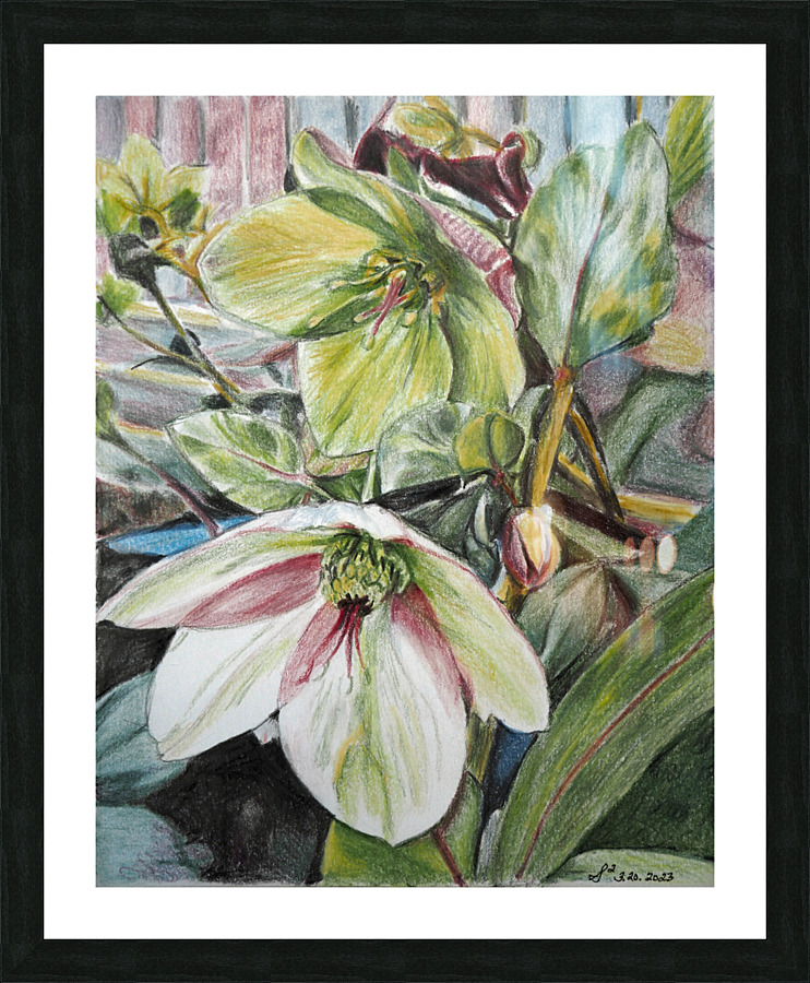 IceNRosesRed Picture Frame print