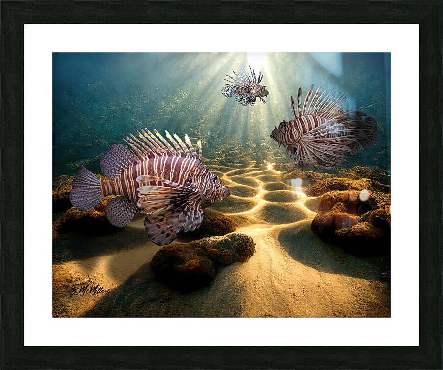 Lionfish Picture Frame print