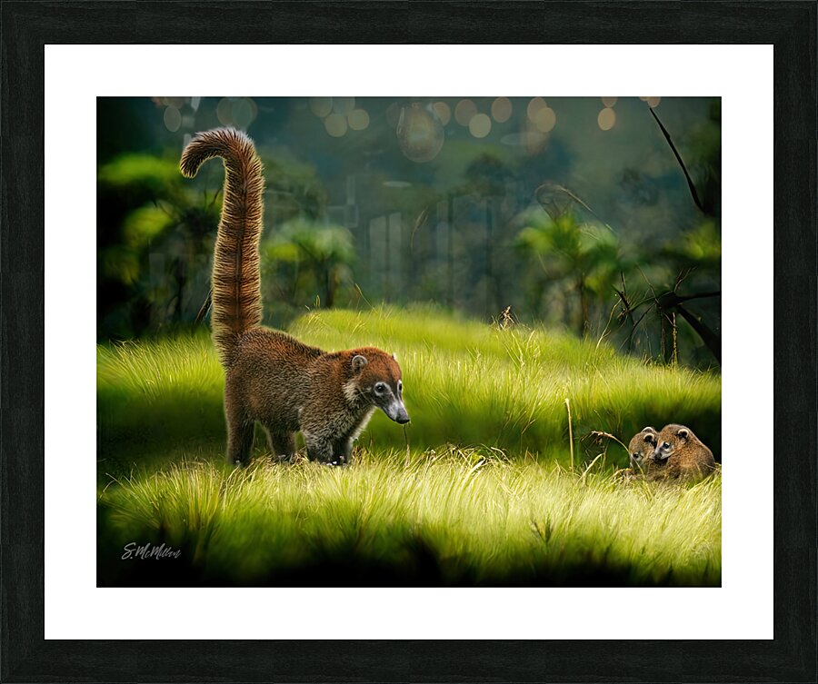 Coatimundi Family Picture Frame print