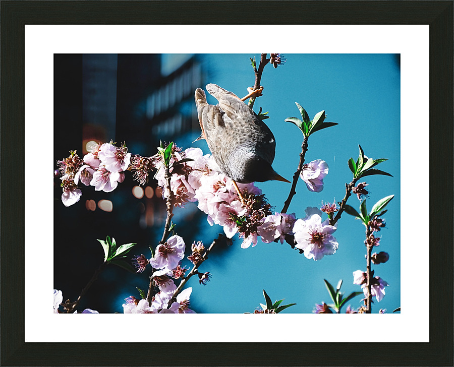  Fine Art print