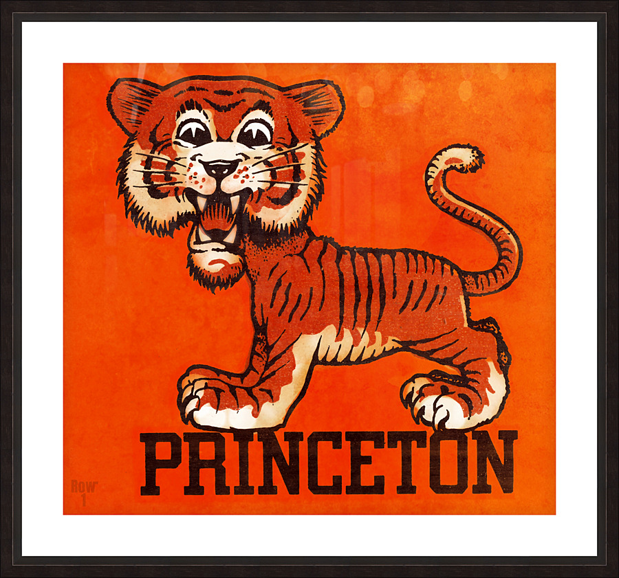 Vintage Princeton Tiger Mascot Art Picture Frame print