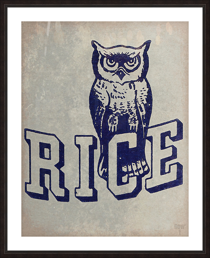 Vintage Rice Owl Mascot Art Picture Frame print