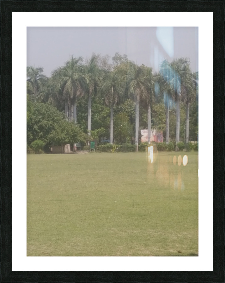 IMG 20220411 132351 Picture Frame print