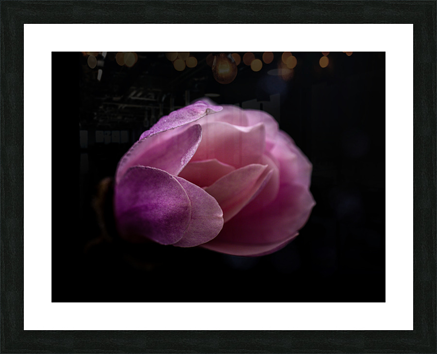 Magnolia Awoken Picture Frame print