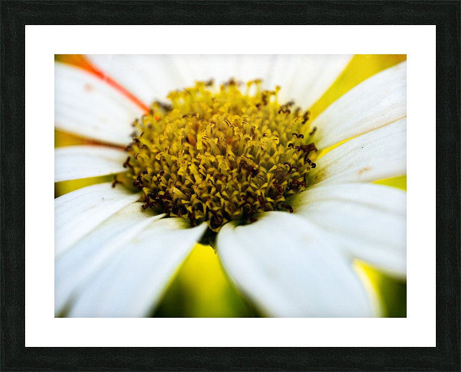 A Bright Spring Picture Frame print