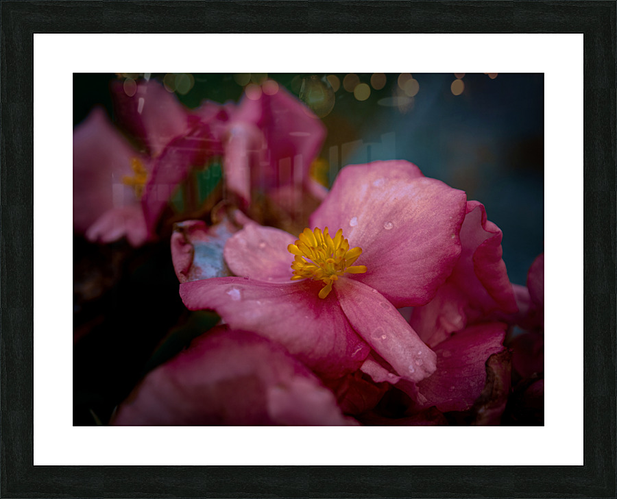 Pastel Picture Frame print