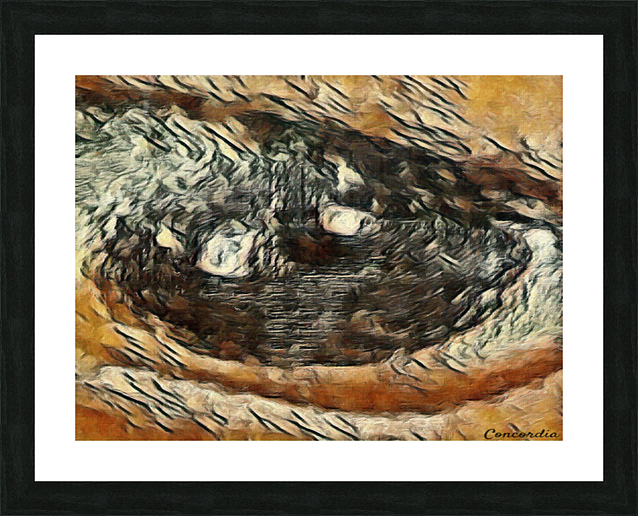 The Eye 2 Picture Frame print