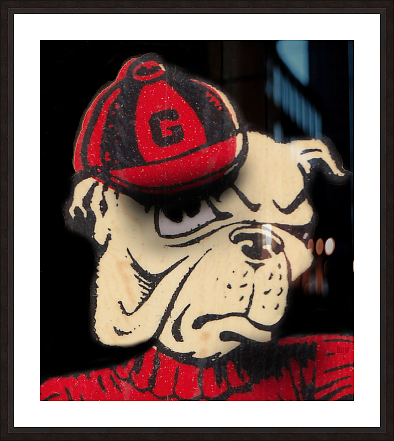 Dawg Close Up Picture Frame print