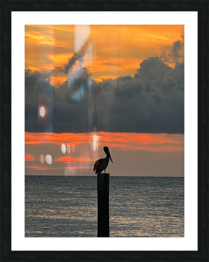 The Lonely Pelican Picture Frame print