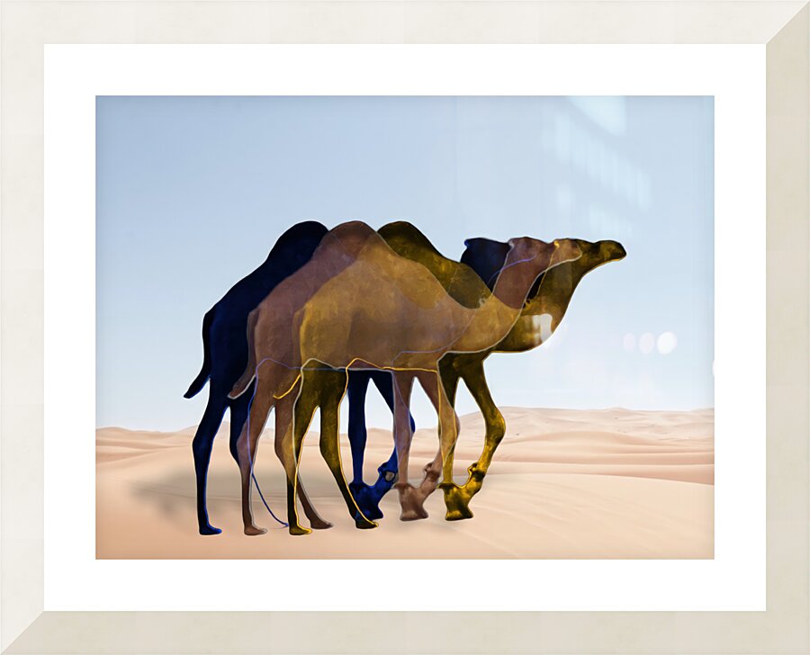 3Camel Picture Frame Printing