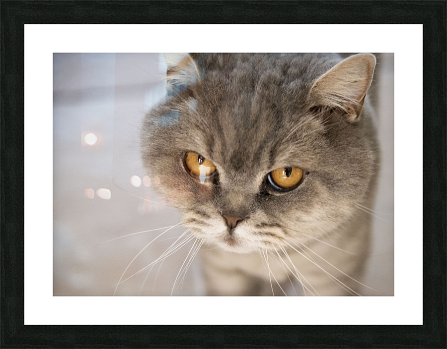 Chat Macro 2 Picture Frame print