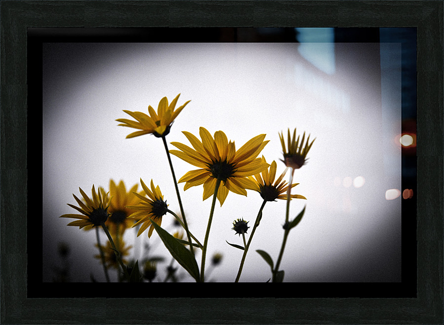 Decorative wall flowers Picture Frame print