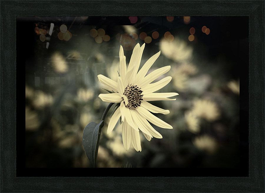 Decorative fleurs dete Picture Frame print