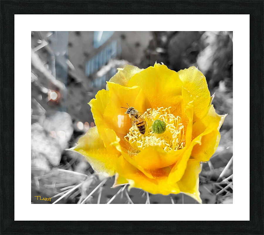 Honey Time Picture Frame print