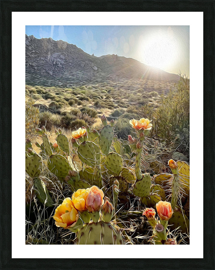 Evening Bliss  Framed Print Print