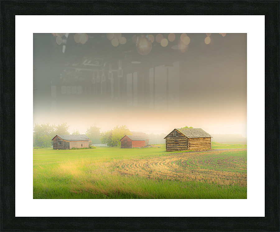  Fine Art print