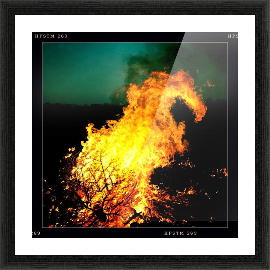 Firedragon Picture Frame print