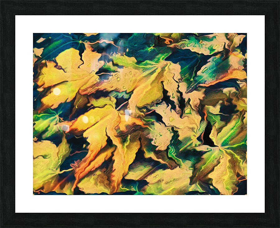  Abstract Autumnal Falls Acer Leaves  Picture Frame print