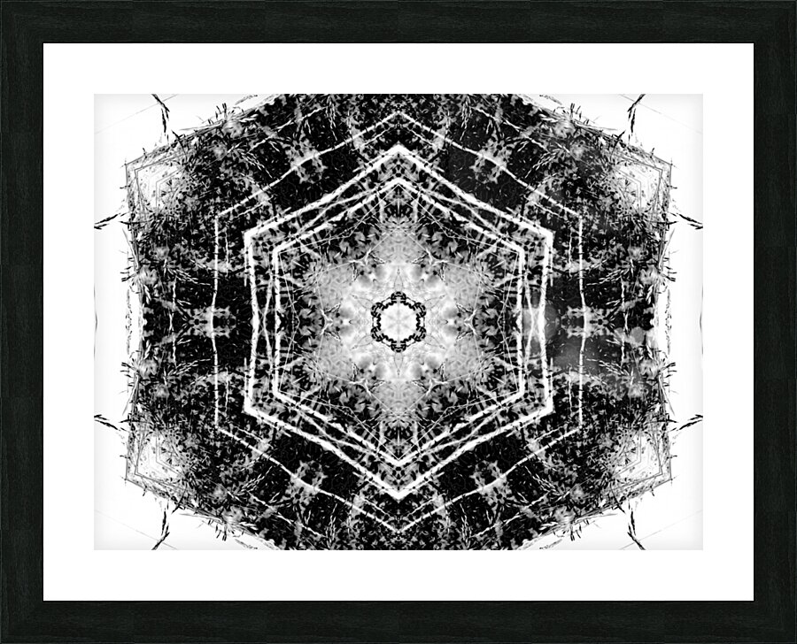 Abstract Black and White Long Grass  Picture Frame print