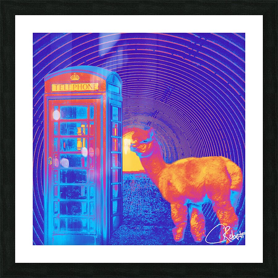 Tunnel Phone Box Lama and Randomness in the Scottish Highlands  Picture Frame print