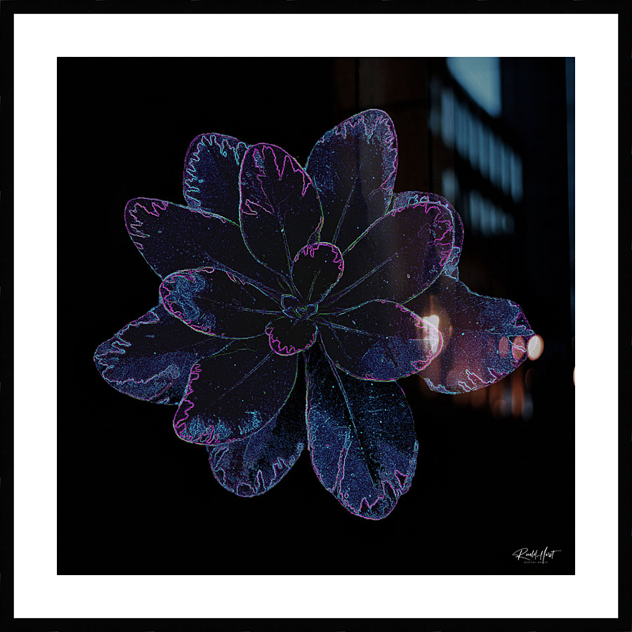  Fine Art print