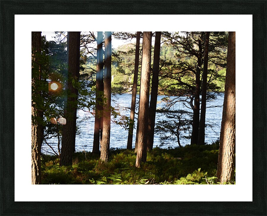  Lochside View  Picture Frame print