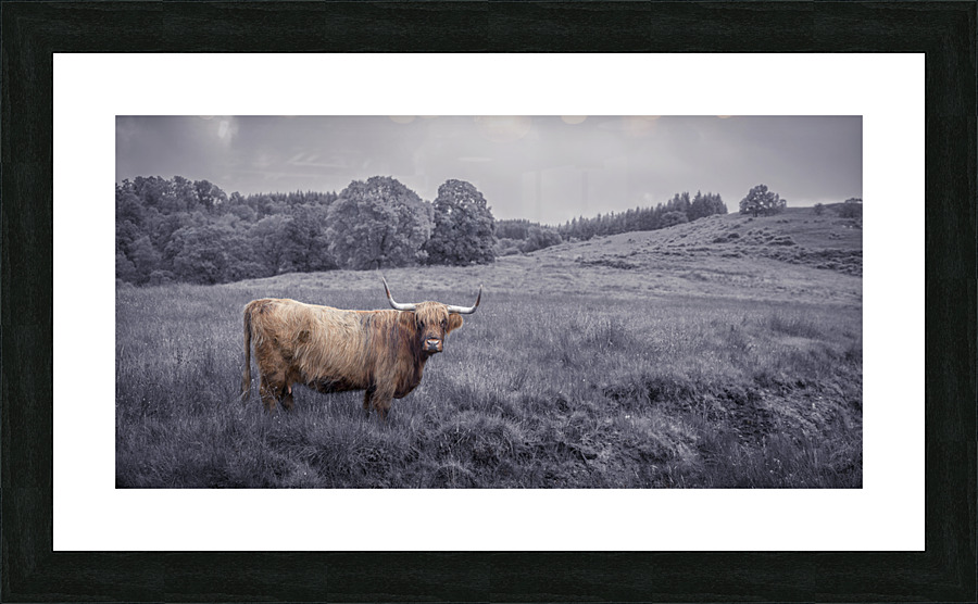  Fine Art print