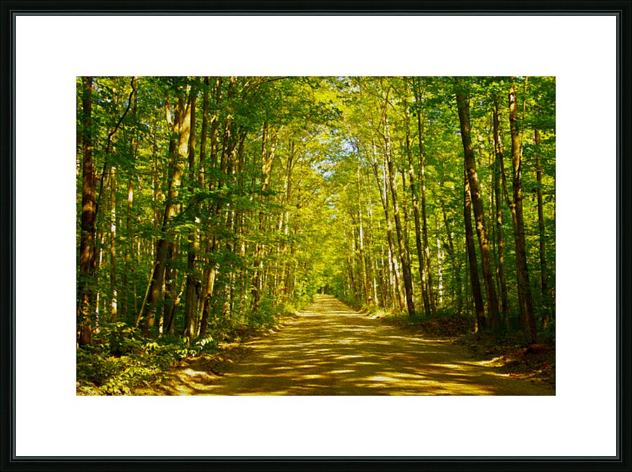 Peaceful Bancroft Side Road Picture Frame print