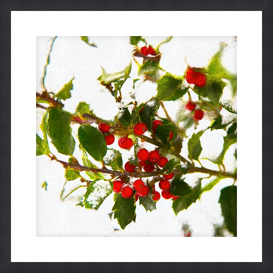 Winter Holly with Red Berries Picture Frame print