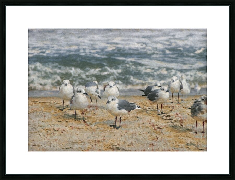 Seagull Dating Scene Picture Frame print