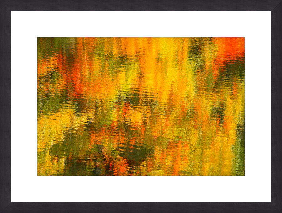 Random Reflections of Fall Trees Picture Frame print