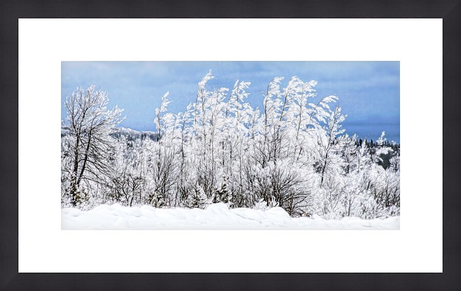 Meeting in Midland Picture Frame print