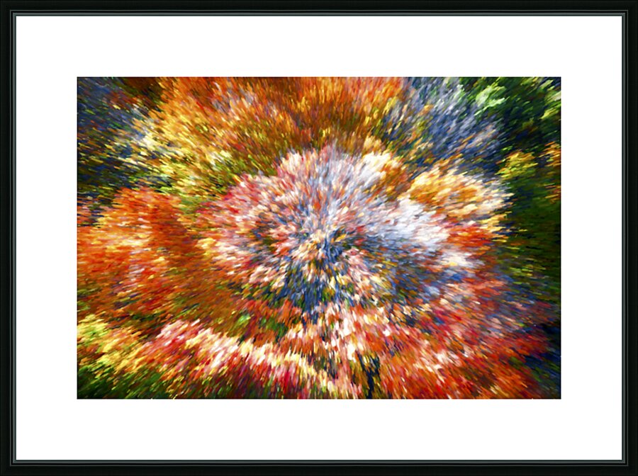 Explosion of Color Picture Frame print