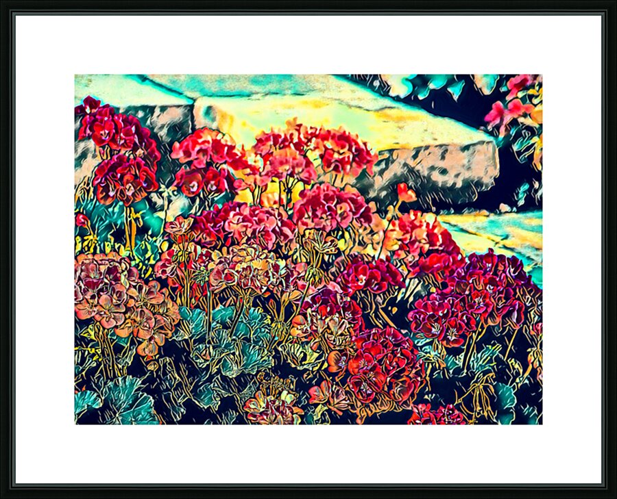 Geraniums Along the Front Steps Picture Frame Printing