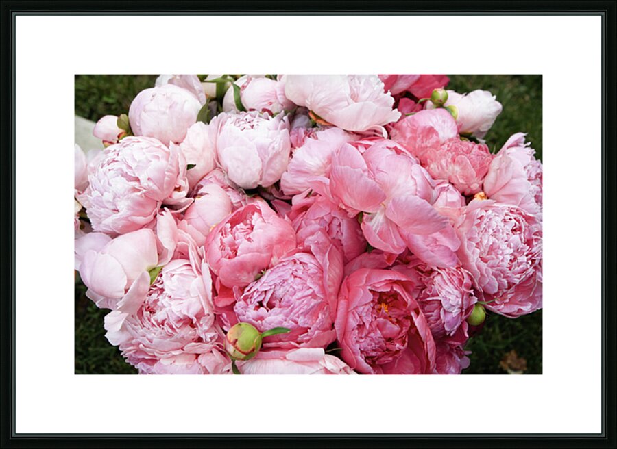 Peony Lovers Dream Picture Frame print