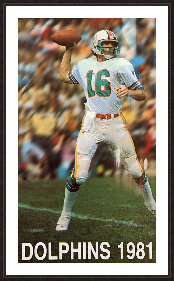 1981 Miami Dolphins Throwback Art Picture Frame print