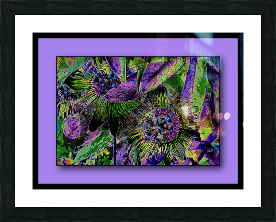 PASSION FLOWERS 002 Picture Frame print