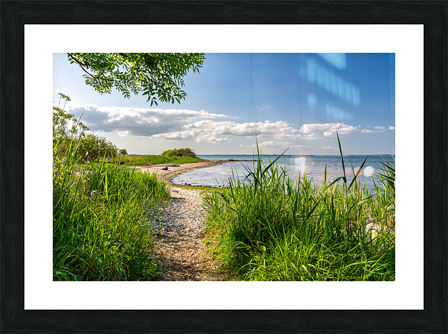 Scenic hiking trail alongside the Baltic Sea in Northern Germany Picture Frame print