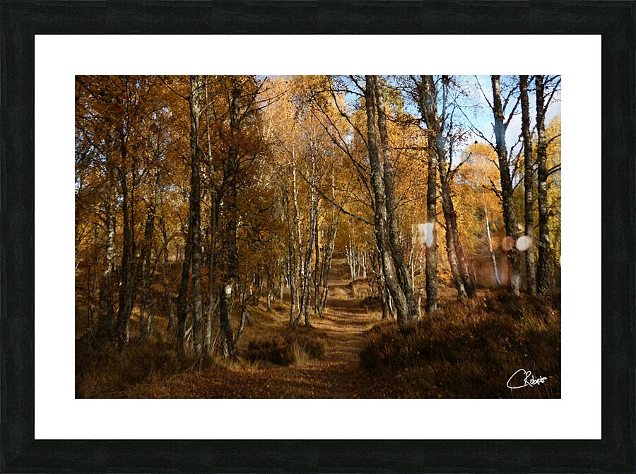 Autumns Ramble in the Scottish Highlands Picture Frame print
