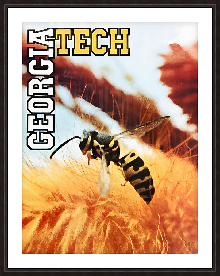 Vintage Georgia Tech Yellow Jacket Art Picture Frame print