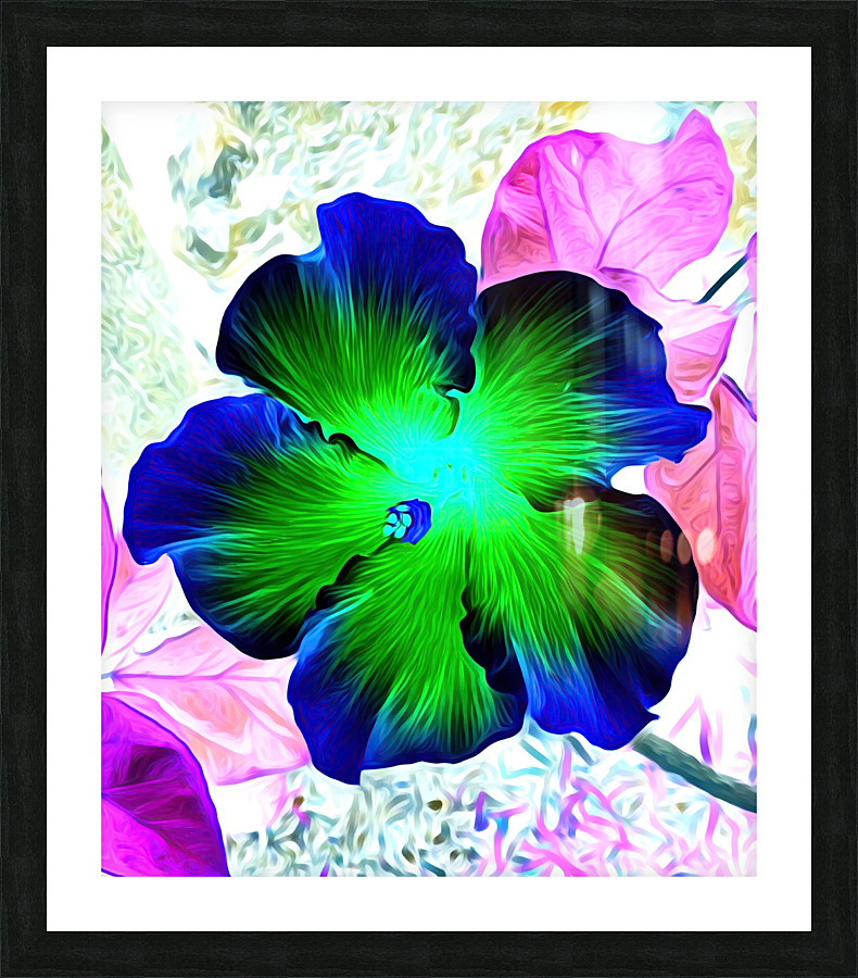 BLU N YELLO HiBiSCUS Picture Frame print