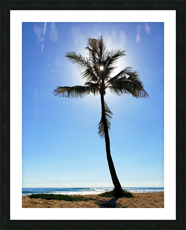 ONE PALM Picture Frame print