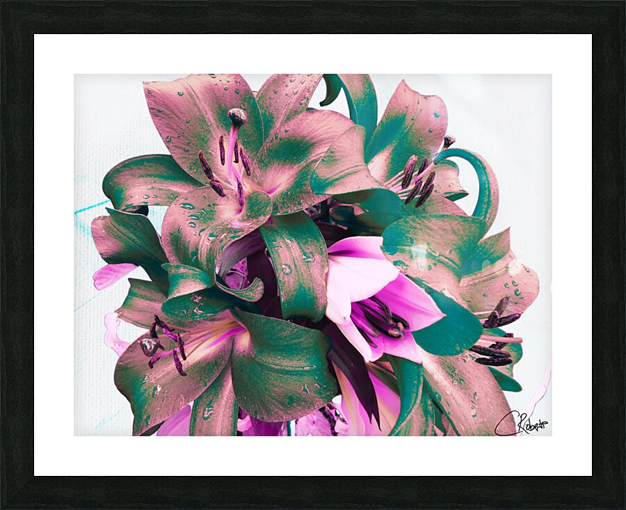  Poster Lilies   Picture Frame print