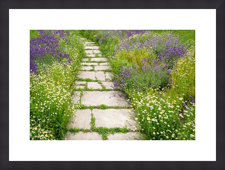 WOW What a Welcome Picture Frame print